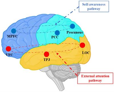 Frontiers | Planet earth calling: unveiling the brain's response